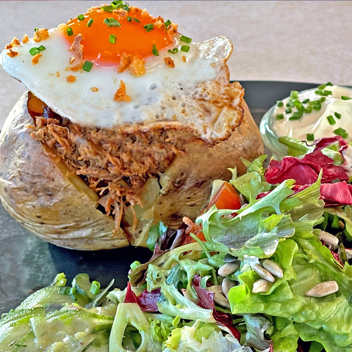 Pulled Pork and Fries